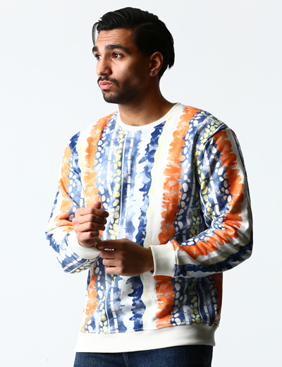 Lizard from Lorestan